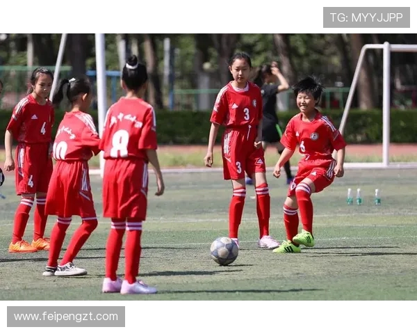 绿茵激情燃动世界足球盛宴见证荣耀与梦想的巅峰碰撞 绿茵激情燃动世界足球盛宴见证荣耀与梦想的巅峰碰撞