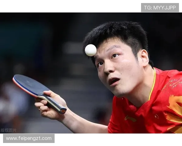 乒乓球耐力排行榜新鲜出炉重庆乒乓球队荣登第十位引发热议