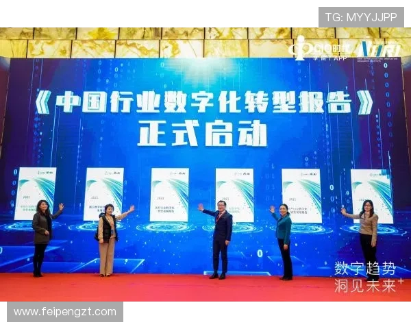 南京飞盘队逆袭之路:从传统到创新的全面转型与突破