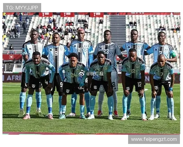 加纳与贝宁在非洲杯激战正酣谁能笑到最后争夺荣耀 加纳与贝宁在非洲杯激战正酣谁能笑到最后争夺荣耀