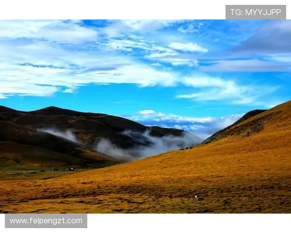 崔永熙的艺术之路与人生哲学探讨:从初心到成就的心灵旅程 崔永熙的艺术之路与人生哲学探讨:从初心到成就的心灵旅程