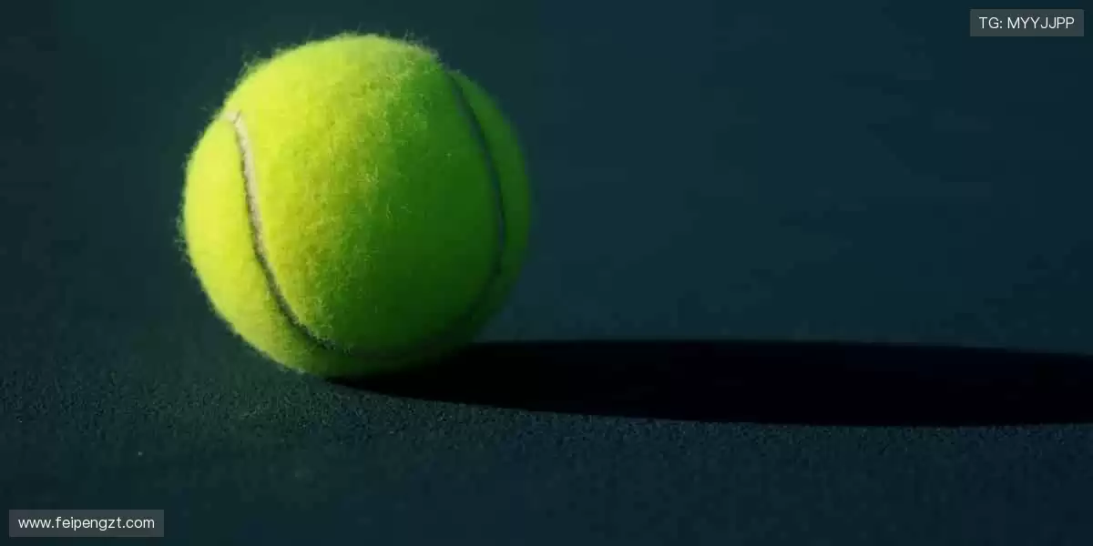 🎮限量周边，收藏首选！🎁